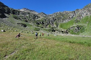 Pianoro di Wysse Bode